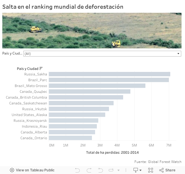 Salta en el ranking mundial de deforestación 