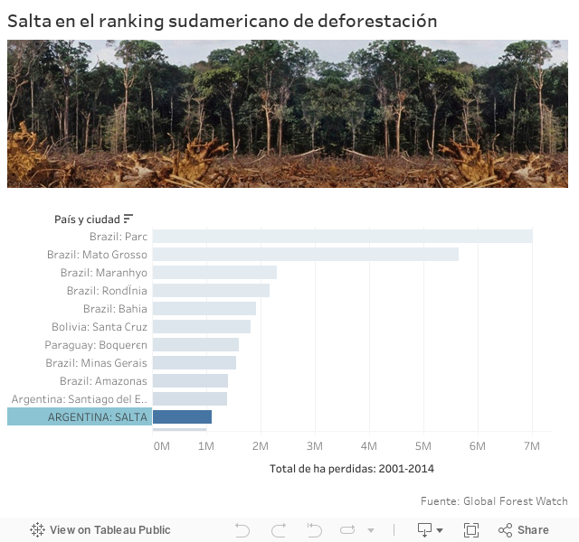Salta en el ranking sudamericano de deforestación 