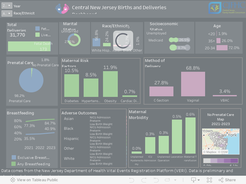 Live Births Dashboard 