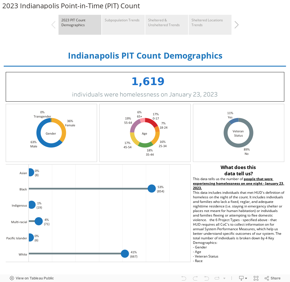 2023 Indianapolis Point-in-Time (PIT) Count 
