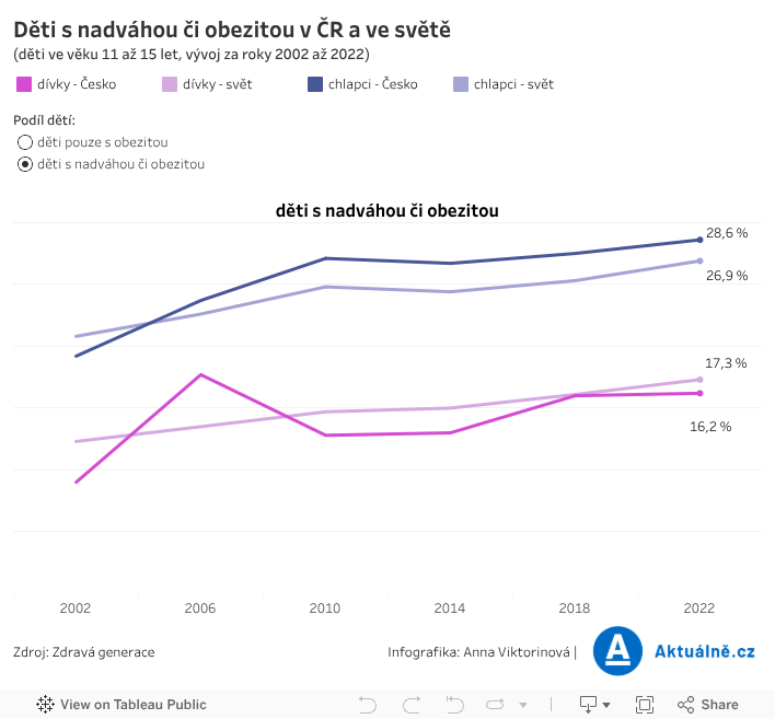 Srovnání Michal DSH 