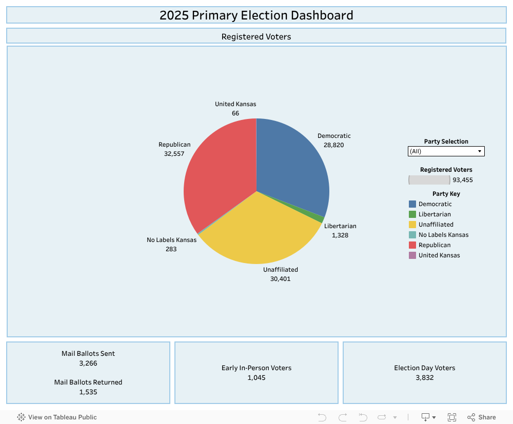 2025 Primary Election Dashboard 
