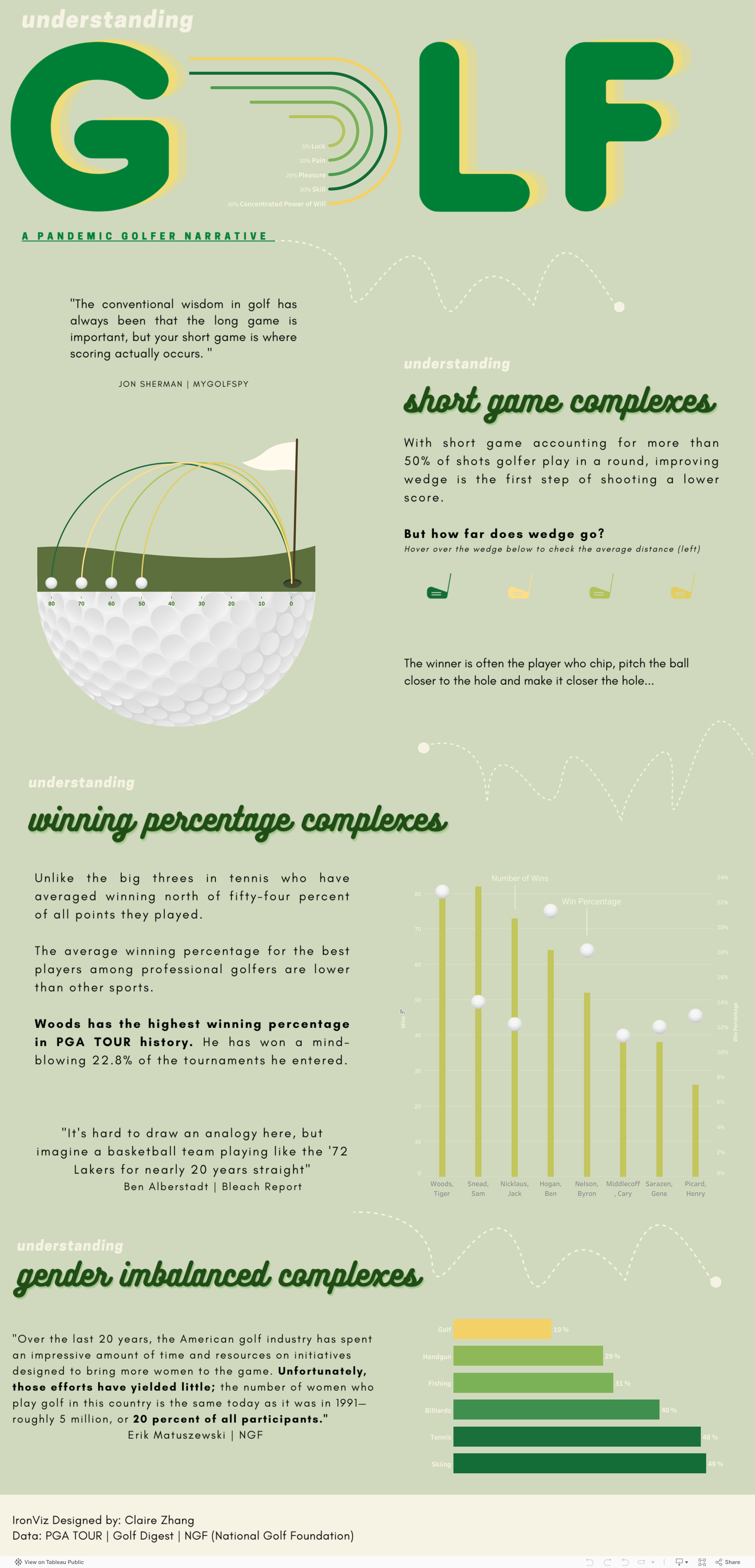 Screenshot of a dashboard from the IronViz submissions