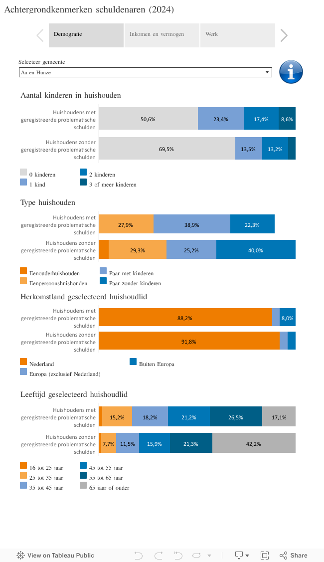 Achtergrondkenmerken schuldenaren (2024) 