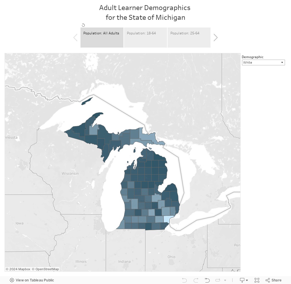 Adult Learner Demographics for the State of Michigan 