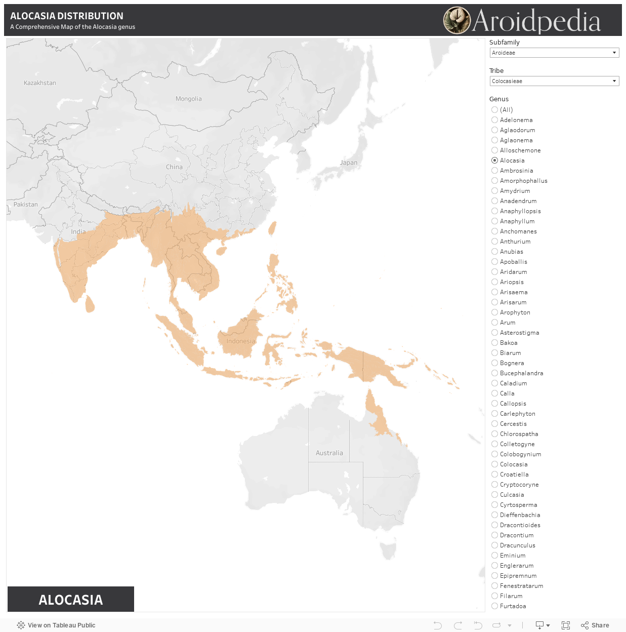 ARACEAE ECO REGIONS SINGLE