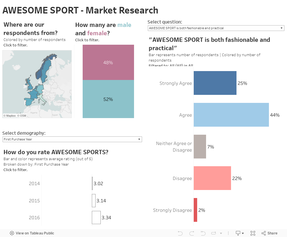 AWESOME SPORT - Market Research 