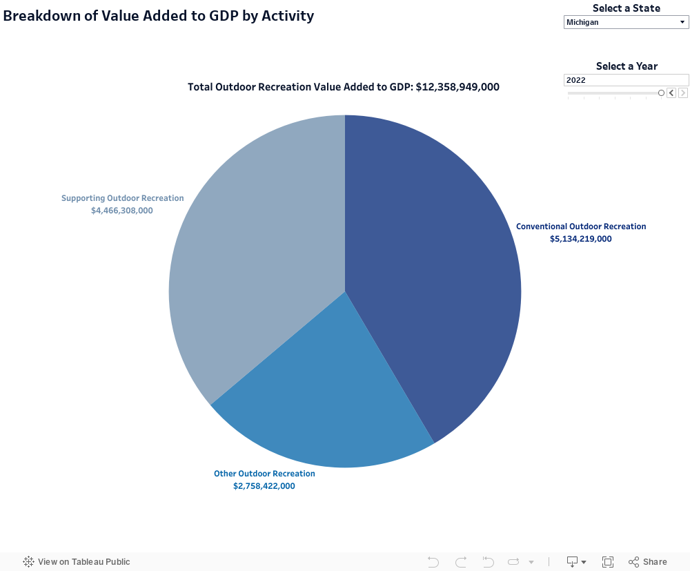 Activity Pie Chart 