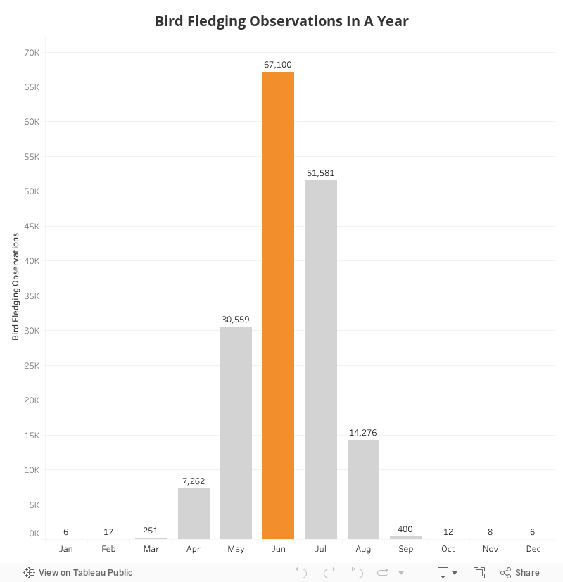 Bird Fledging Observations In A Year (Dashboard) 