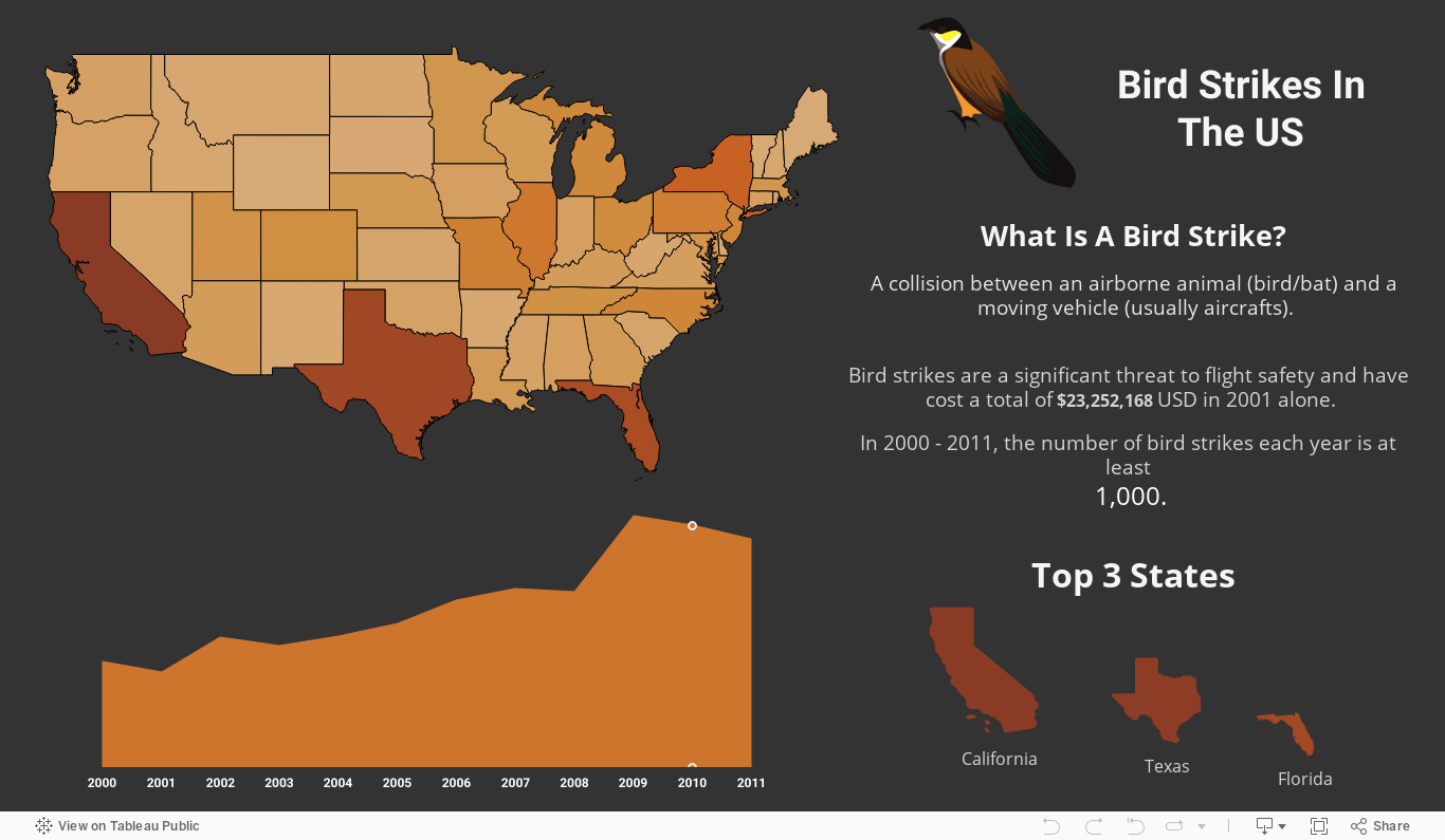 Bird Strikes In The US 
