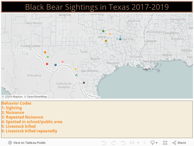Black bear sightings in Texas remain rare