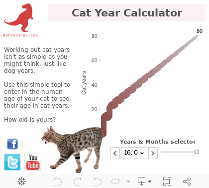 How Many Cat Years Versus Human Years - Food Ideas