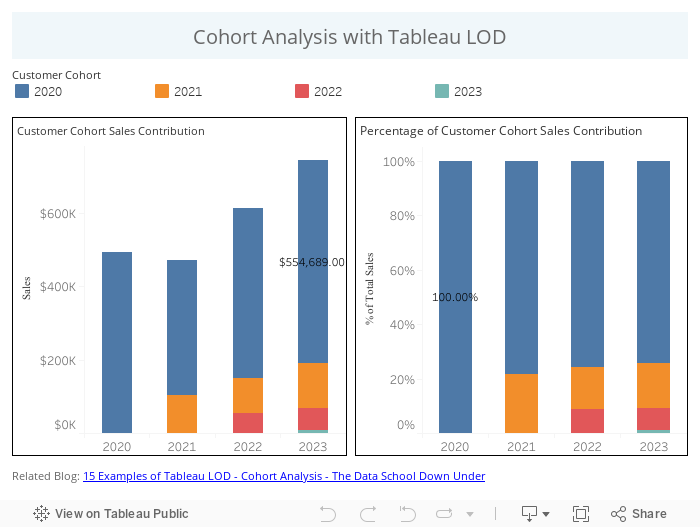 Cohort Analysis Dashboard 