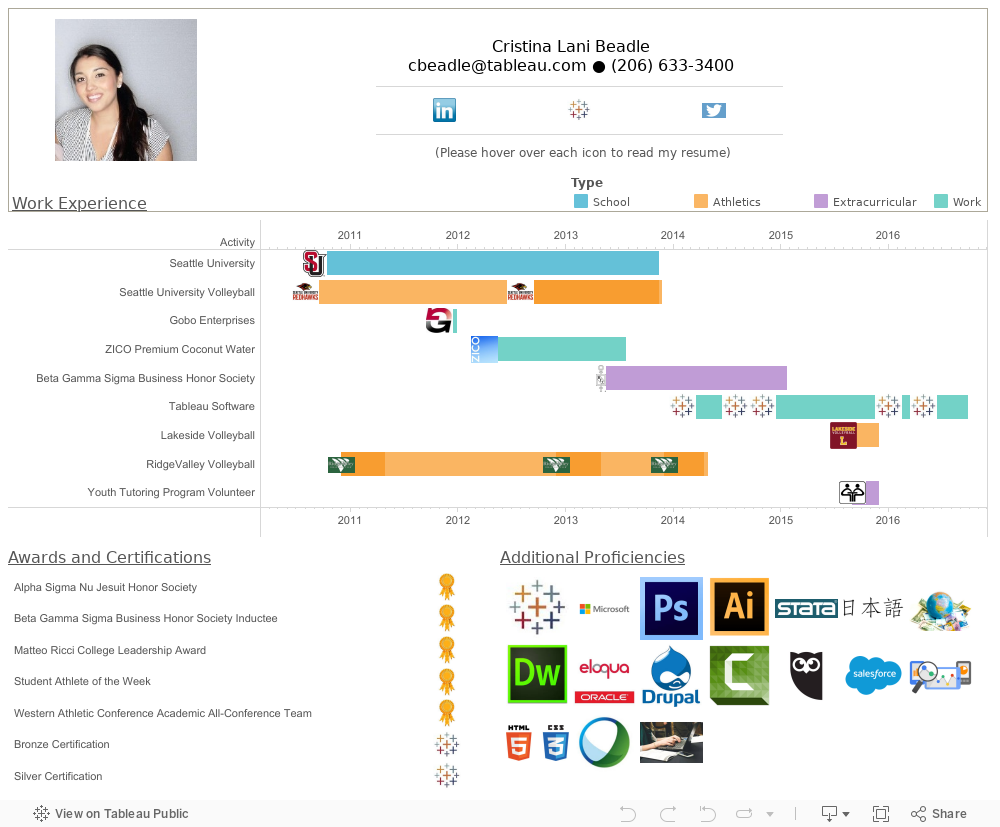 How to Create an Interactive Resume in Tableau | Tableau Public