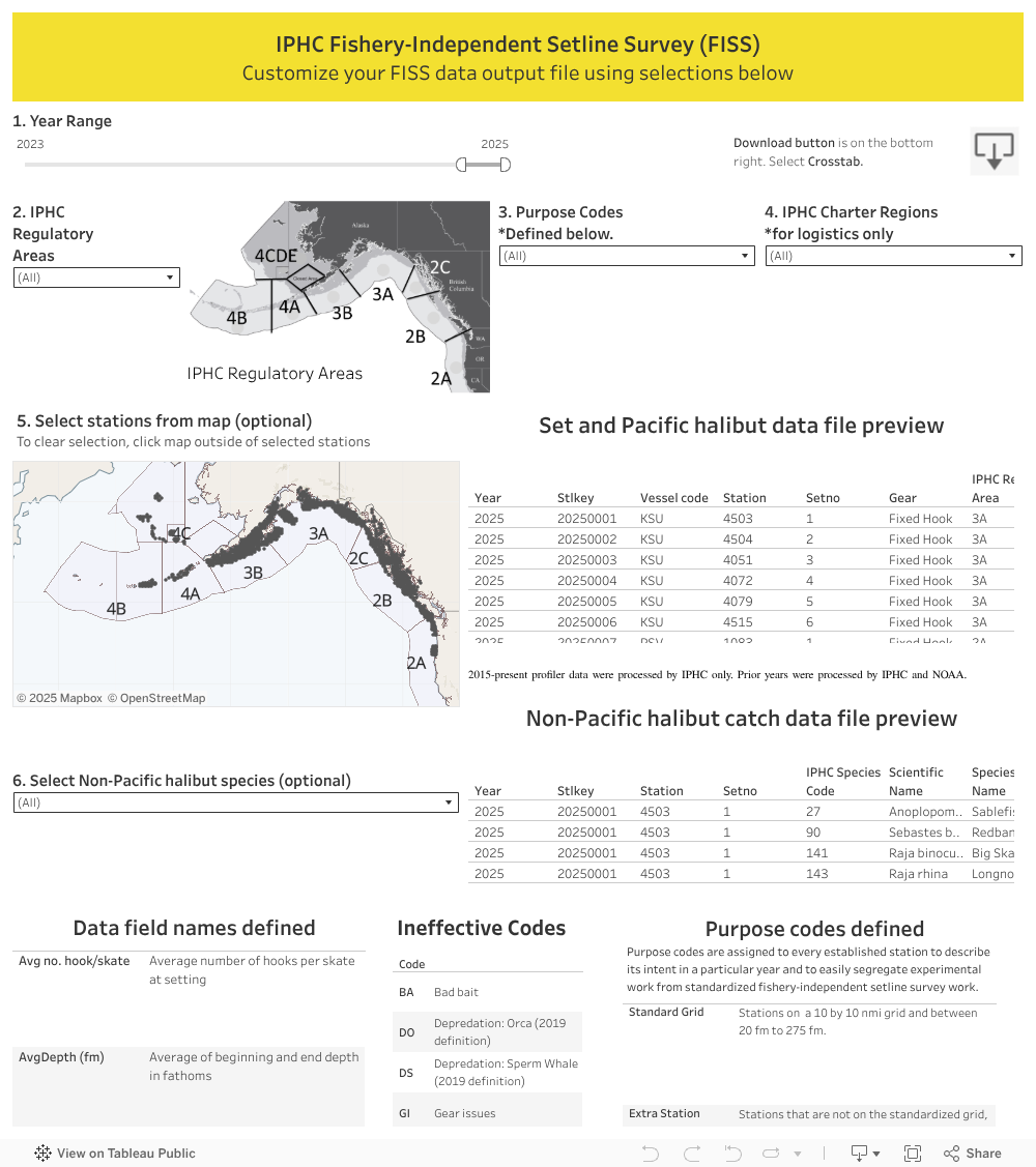 Data Query Dashboard 