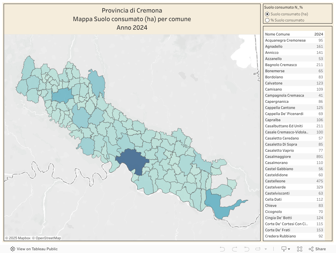 Dash suolo cons x com 
