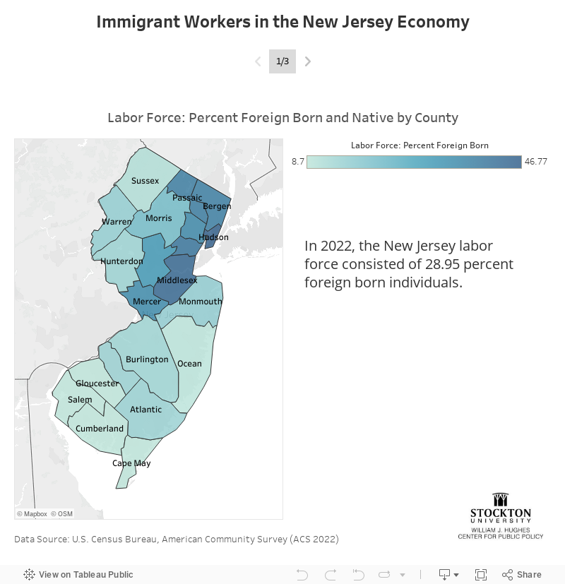 Immigrant Workers in the New Jersey Economy 