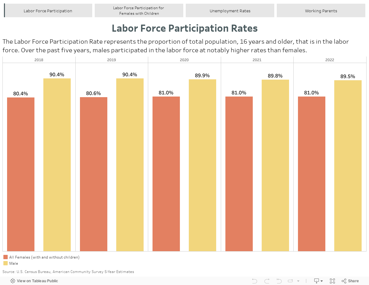 Labor Force Participation 