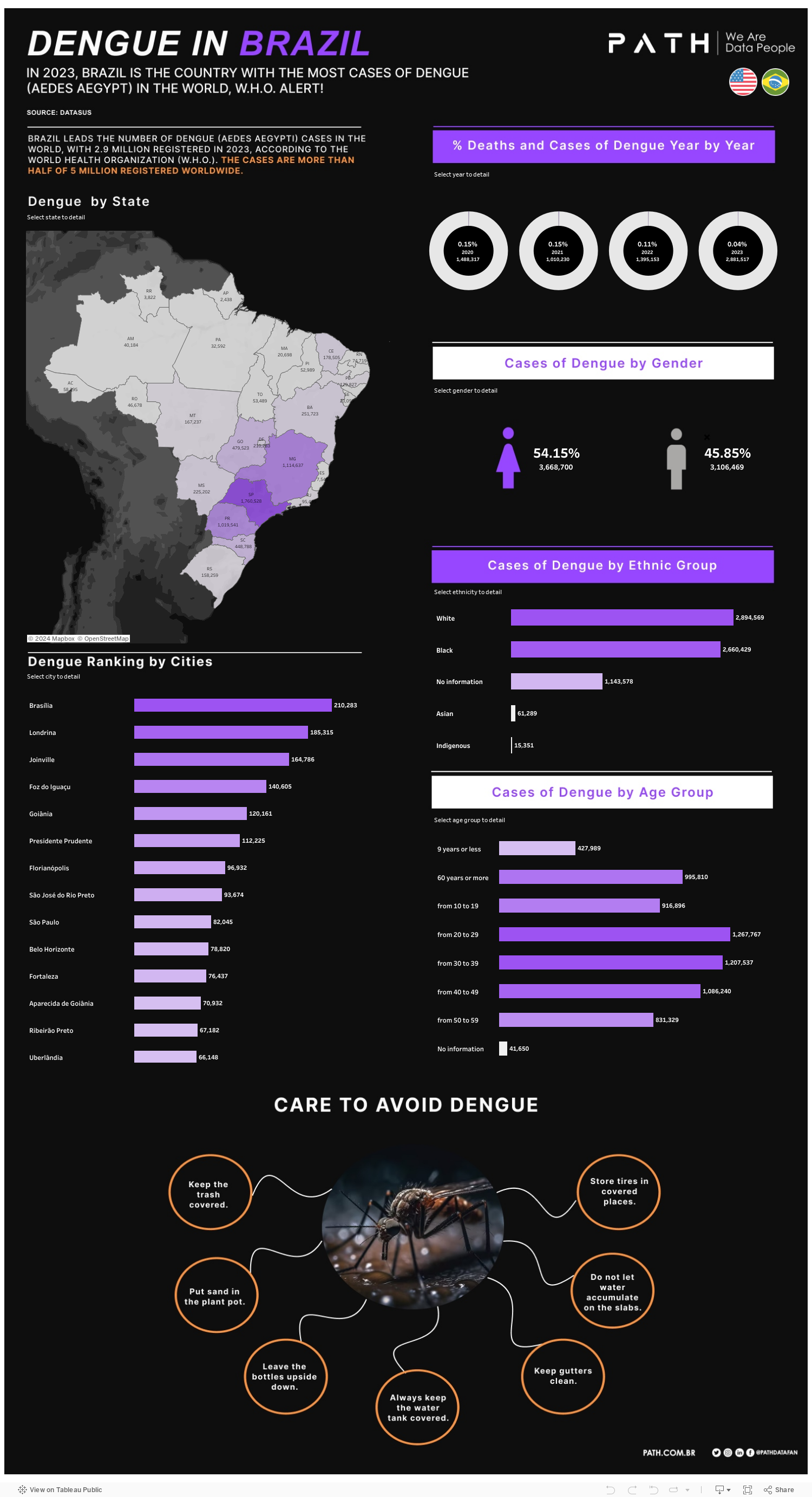 Dengue in Brazil 