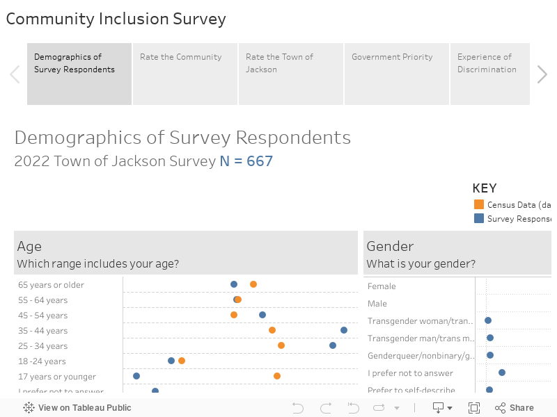 Community Inclusion Survey 