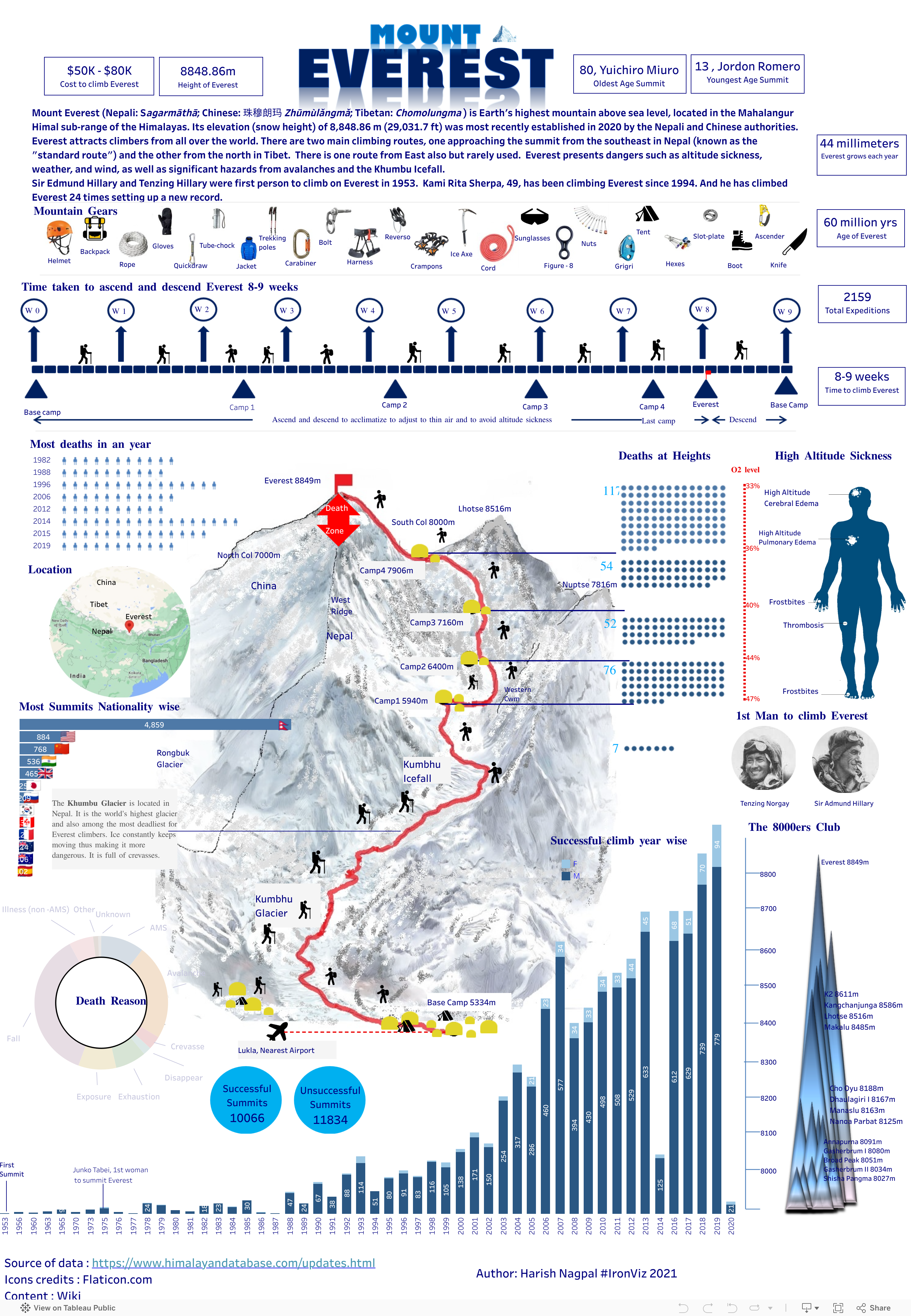 Screenshot of a dashboard from the IronViz submissions