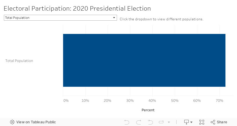 Electoral Participation: 2020 Presidential Election  