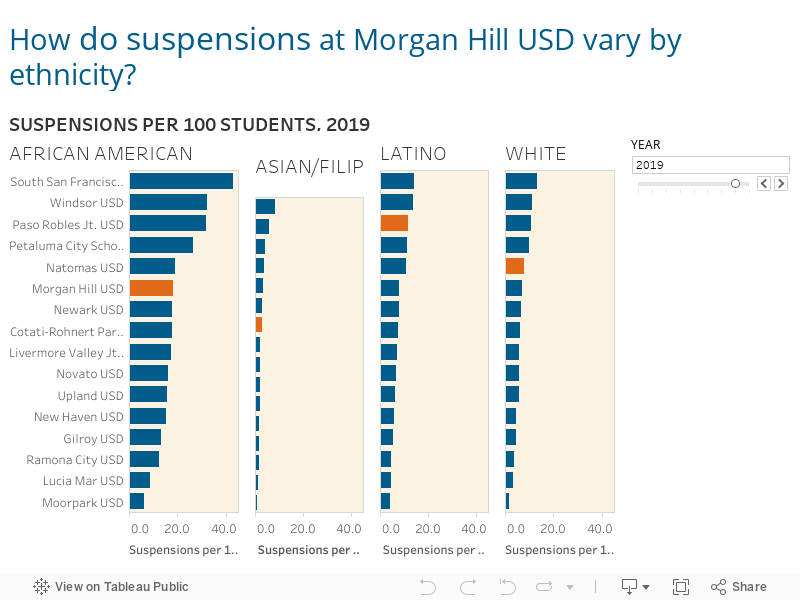 5E. Suspensions by Ethnicity 