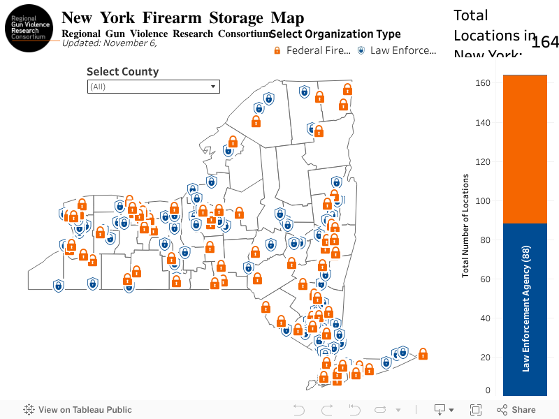 Firearm Storage Dash 