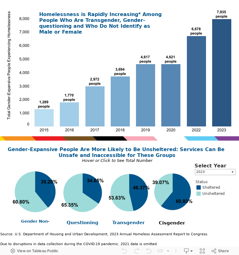 Gender-Expansive Homelessness  