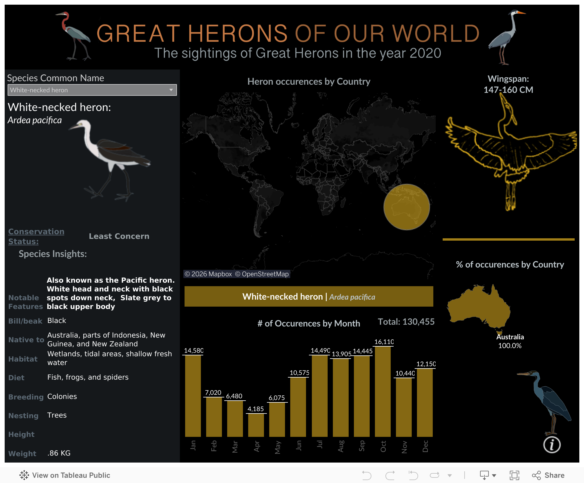 Screenshot of a dashboard from the IronViz submissions