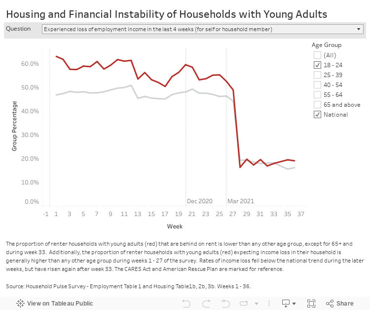 Housing and Financial Instability of Households with Young Adults 