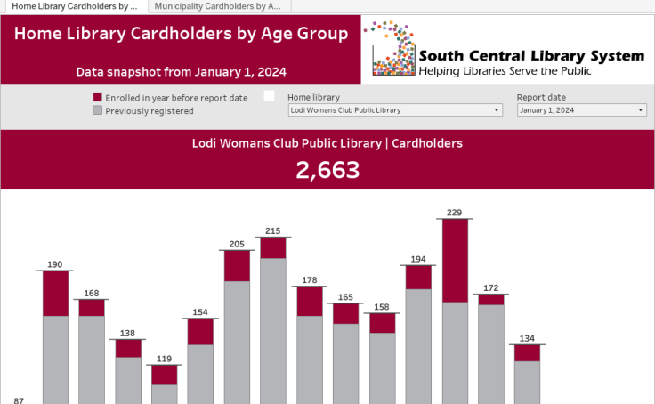 Home Library Cardholders by Age Group dashboard thumbnail
