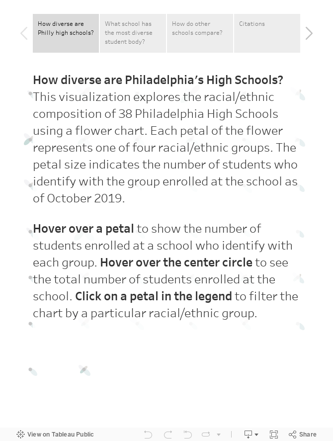 Diversity in Philadelphia High Schools 
