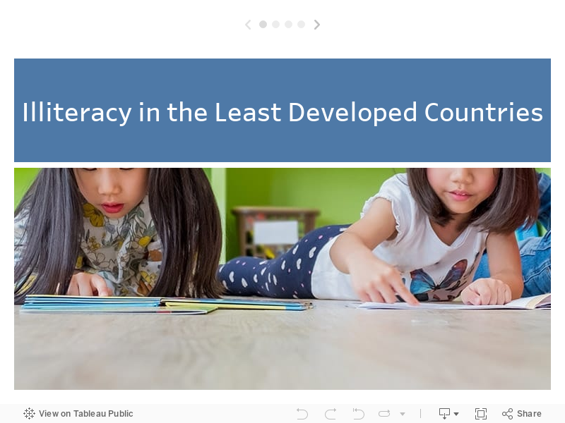 Literacy Rates in Developing Countries 