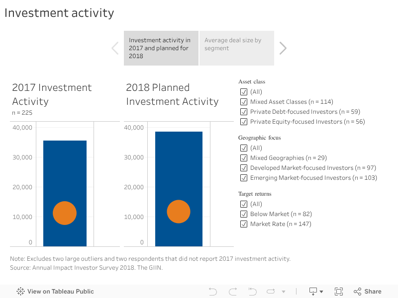 Investment Activity 