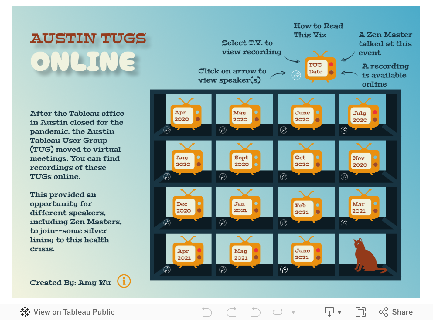 Screenshot of a dashboard from the IronViz submissions