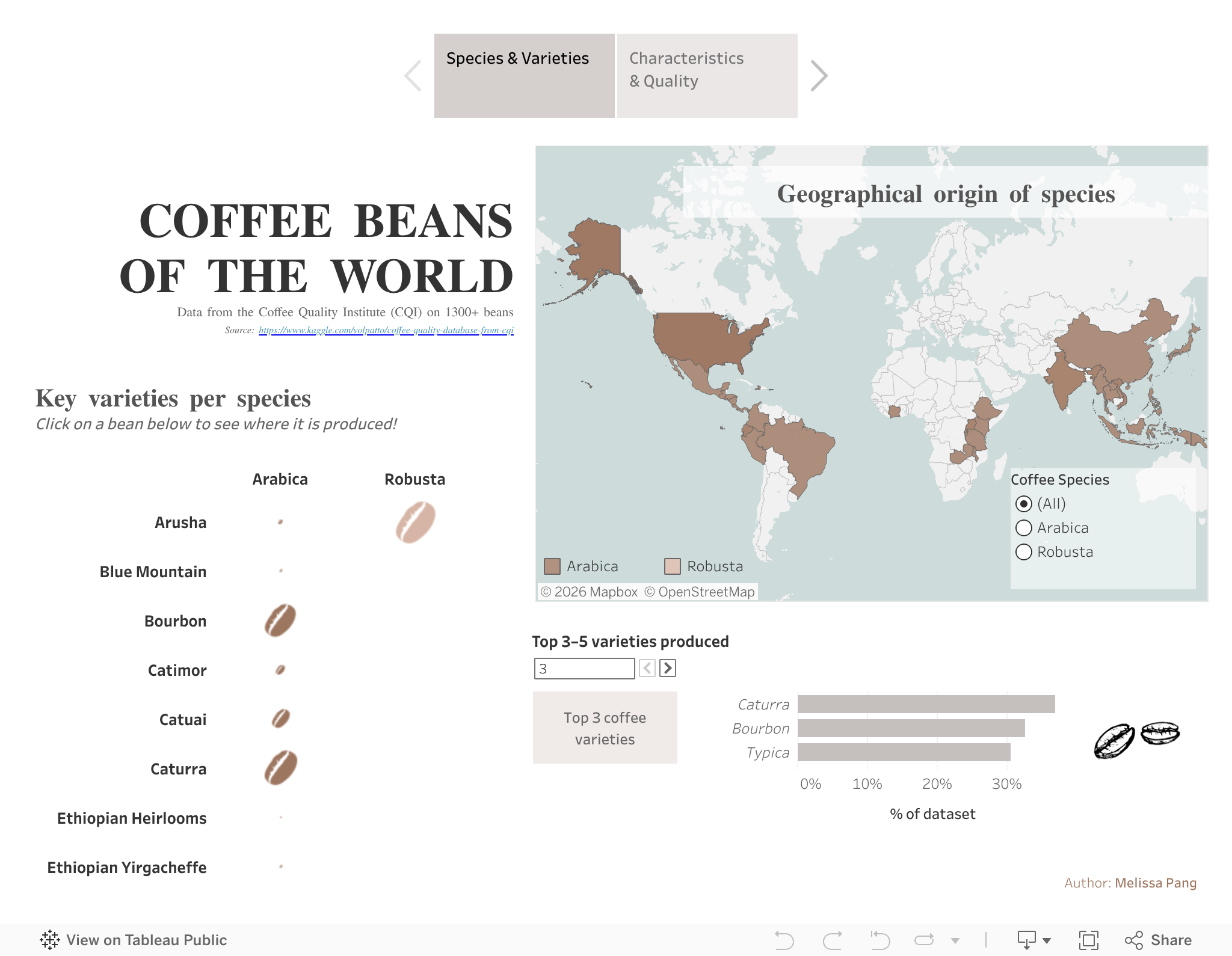 Screenshot of a dashboard from the IronViz submissions