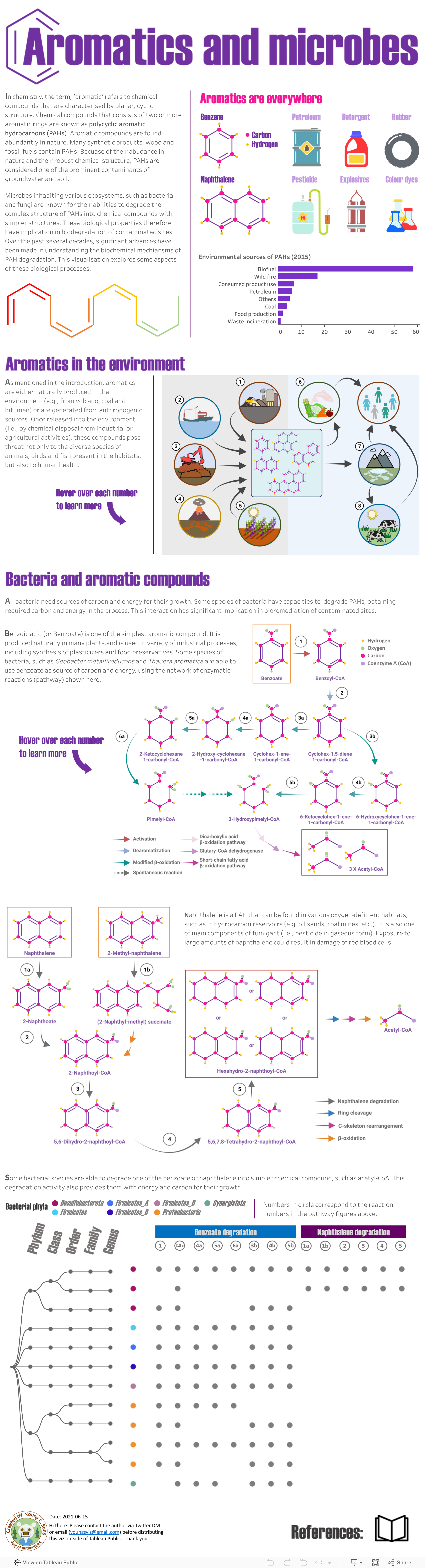 Screenshot of a dashboard from the IronViz submissions