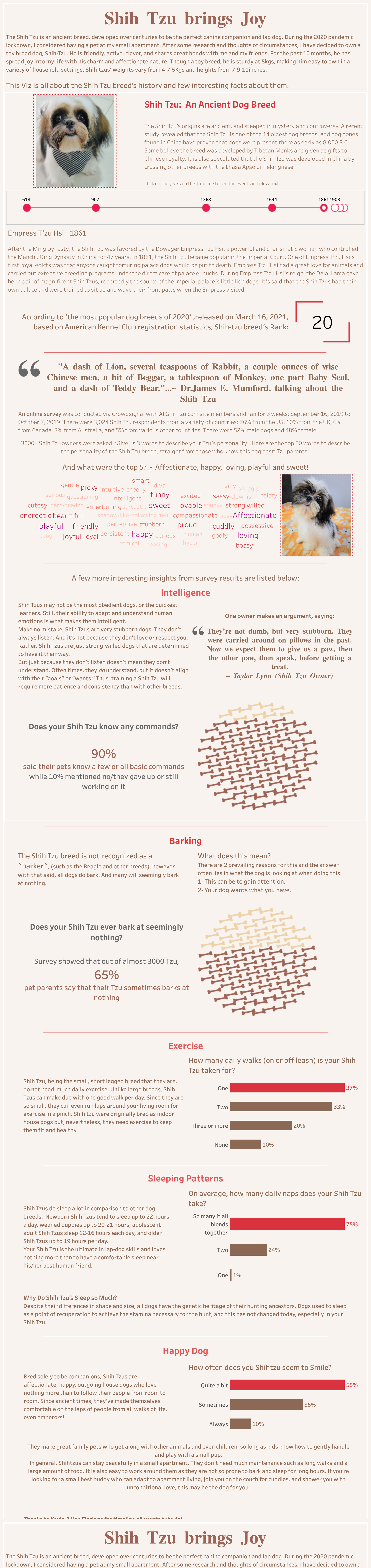 Screenshot of a dashboard from the IronViz submissions