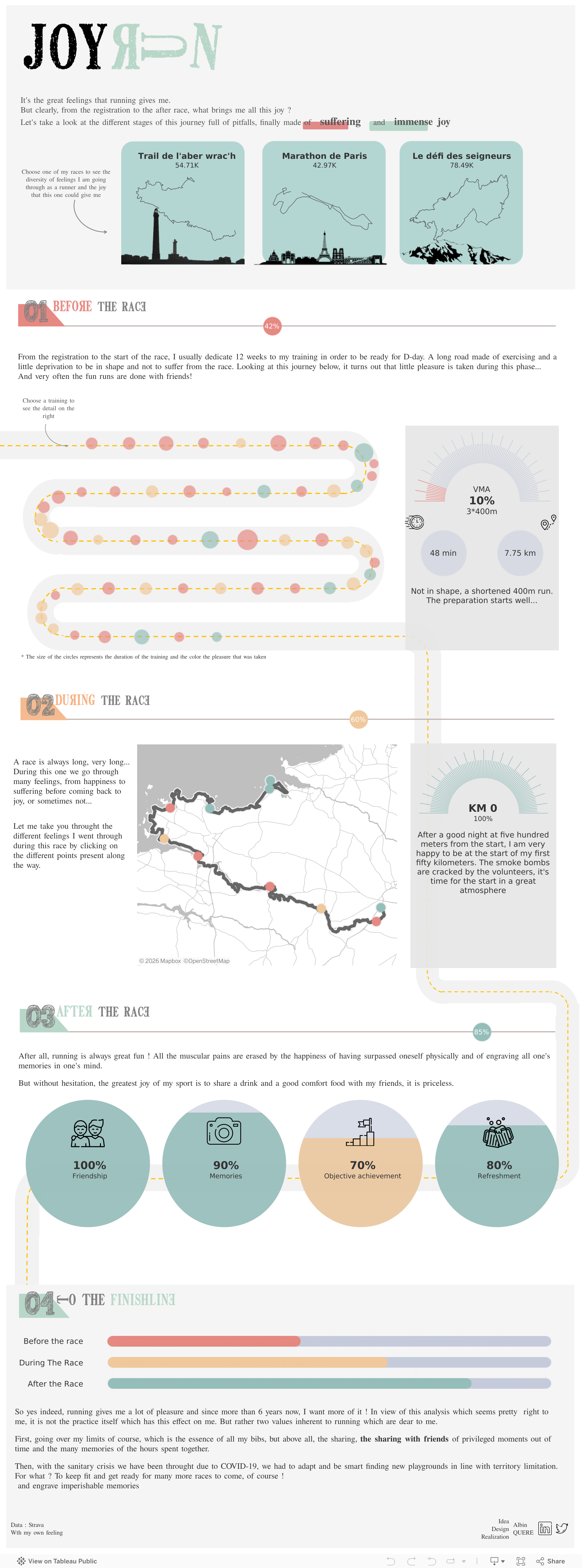 Screenshot of a dashboard from the IronViz submissions