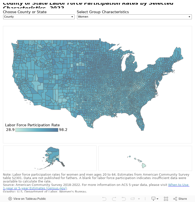 County or State Labor Force Participation Rates by Selected Characteristics, 2022 