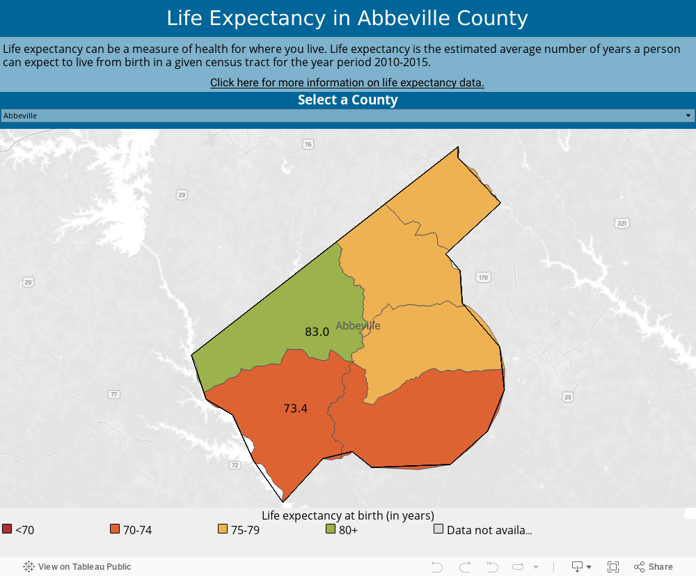 Life Expectancy Dashboard 