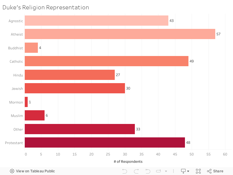 Duke's Religion Representation 