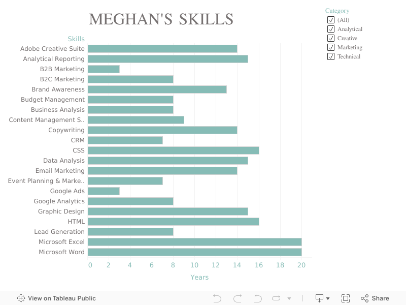 Meghan Fitzgerald's Skills 