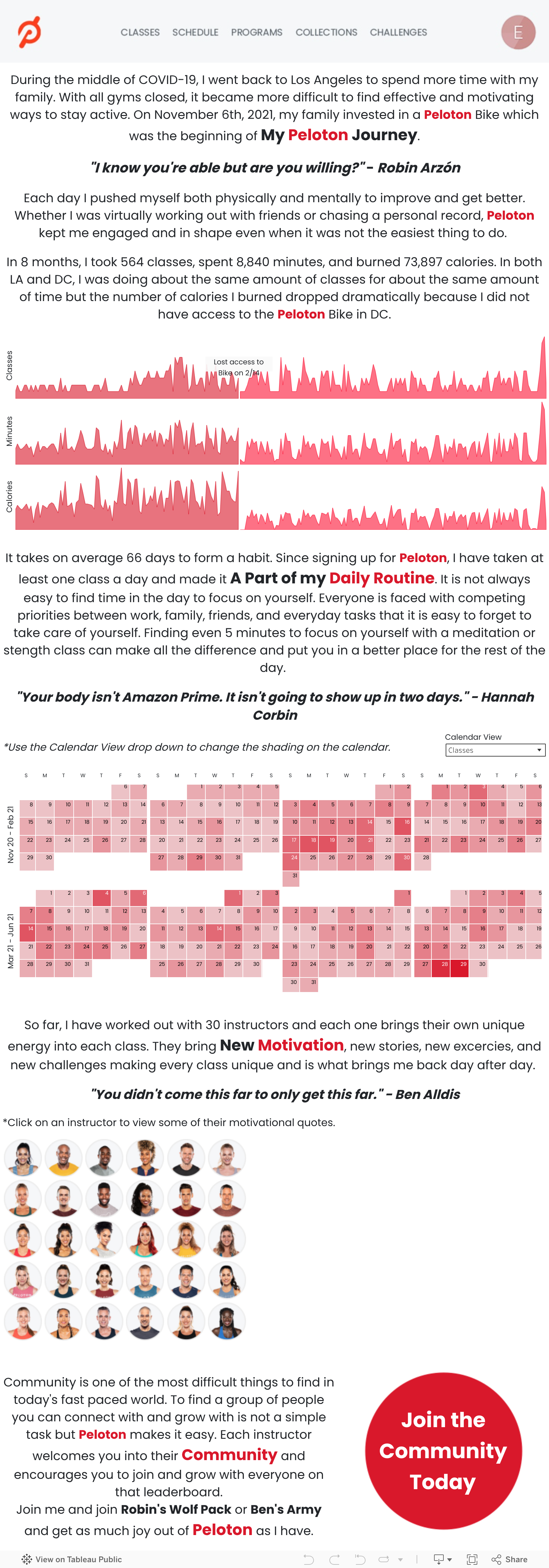 Screenshot of a dashboard from the IronViz submissions