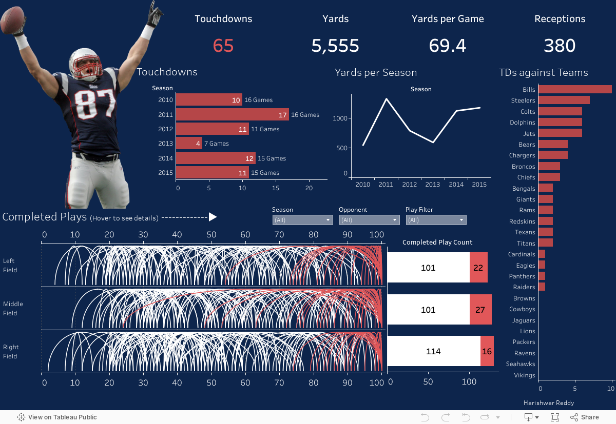 Rob Gronkowski Career Stats and Complted Plays 
