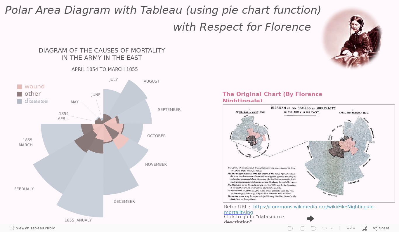 Florence Nightingale Chart