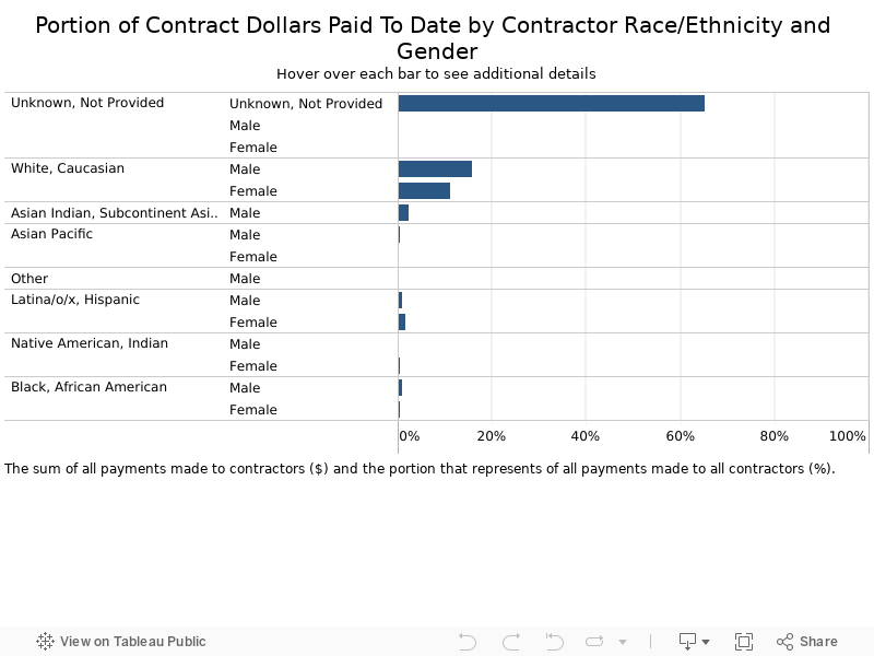 Portion of Payments Made by Contractor Race/Ethnicity and Gender 