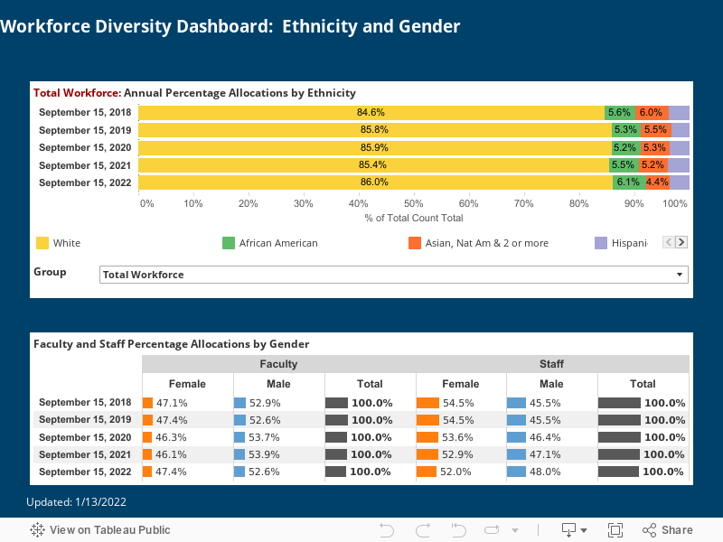   Workforce Diversity Dashboard:  Ethnicity and Gender 
