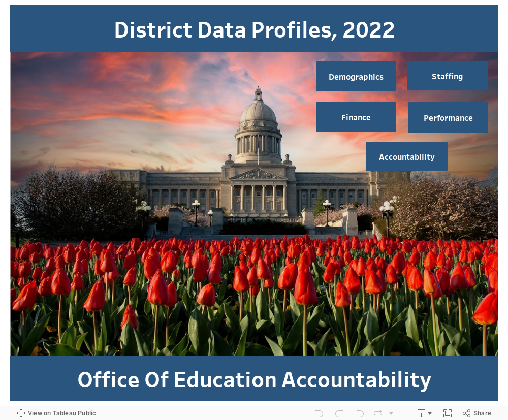 2022 Data Profiles 